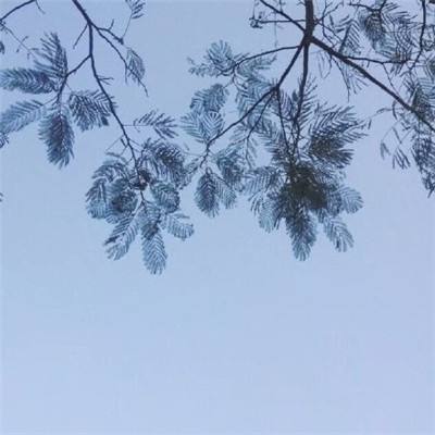 最强决斗者7713版下载