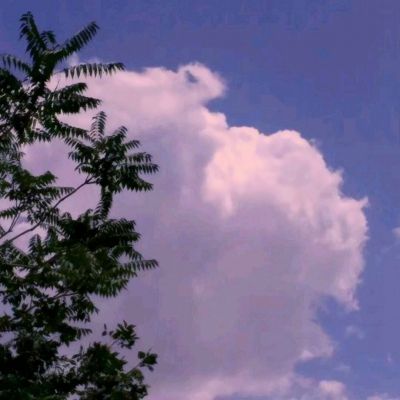 少林花和尚游戏下载